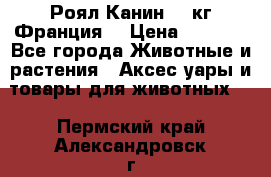  Роял Канин 20 кг Франция! › Цена ­ 3 520 - Все города Животные и растения » Аксесcуары и товары для животных   . Пермский край,Александровск г.